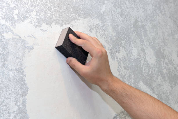 Best Mold Prevention Services  in Hanceville, AL