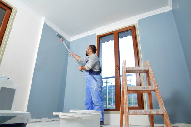 Professional Mold Removal in Hanceville, AL