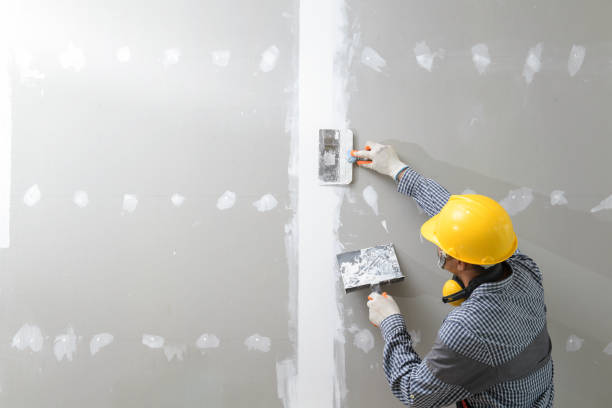 Best Post-Remediation Verification Testing  in Hanceville, AL