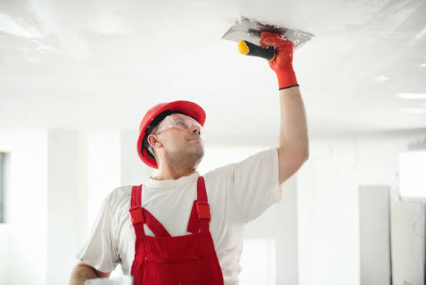 Best Emergency Mold Remediation  in Hanceville, AL