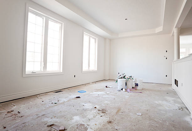 Best Attic Mold Removal  in Hanceville, AL