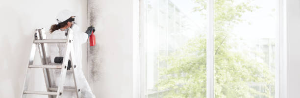Best Forensic Mold Investigation  in Hanceville, AL