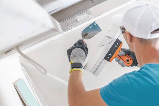 Best Crawl Space Mold Remediation  in Hanceville, AL